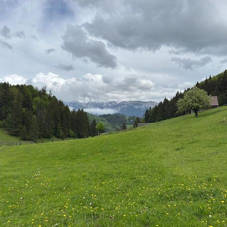 Andolia Villa Felsőmoécs Kültér fotó